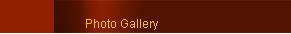 Photo Gallery